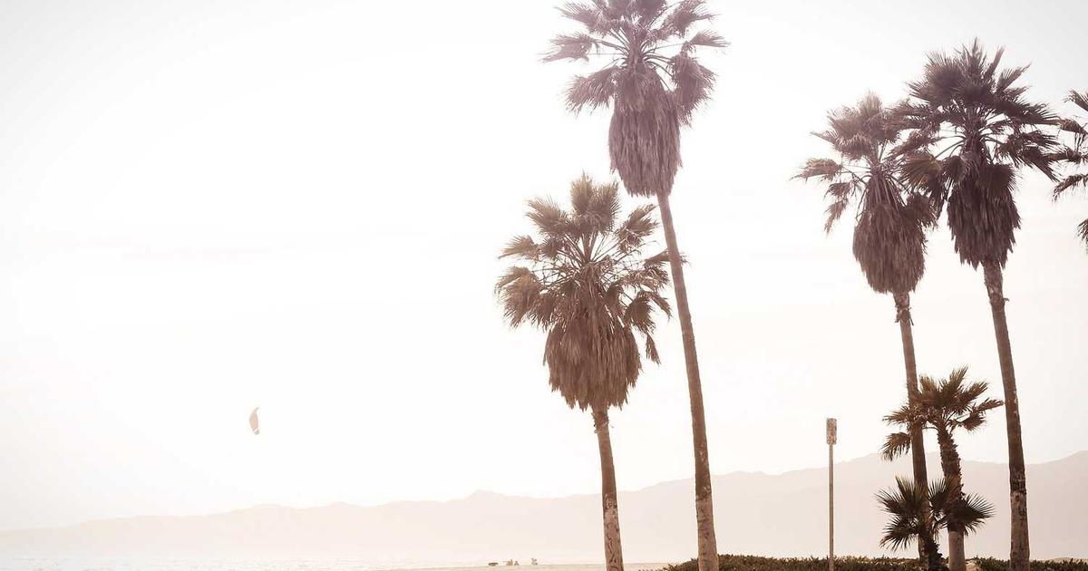 Chainsaw Man Reze Arc Movie Earns 9.12 on MAL - Review