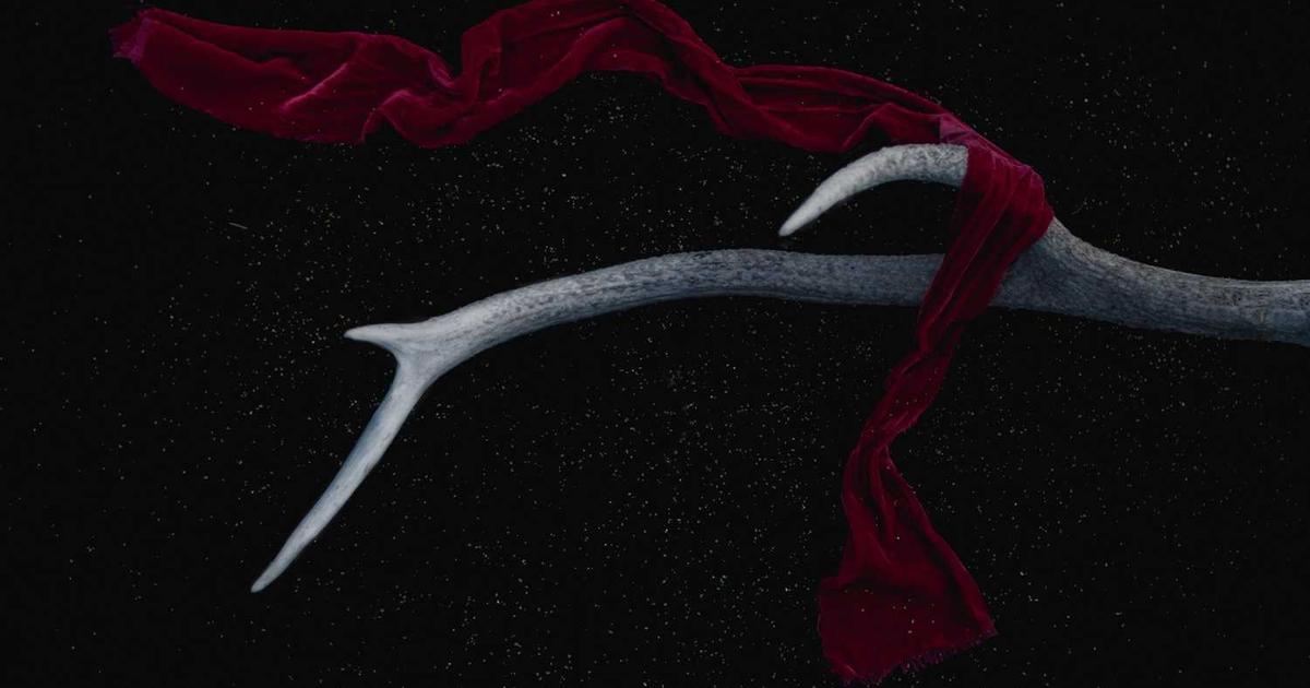 Steel Ball Run Anime Confirmed for 2026 on Netflix